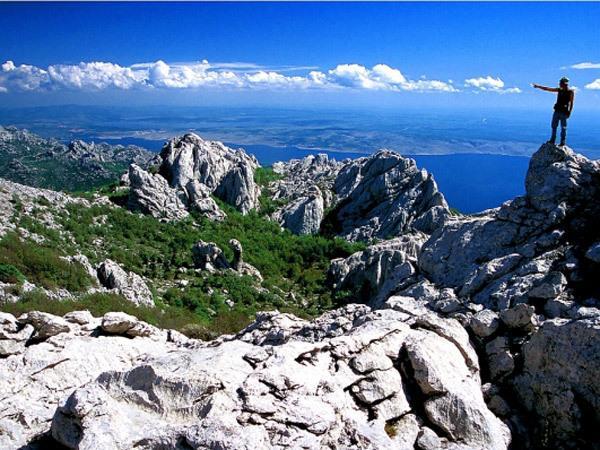 Apartment Bilic Zadar Bagian luar foto